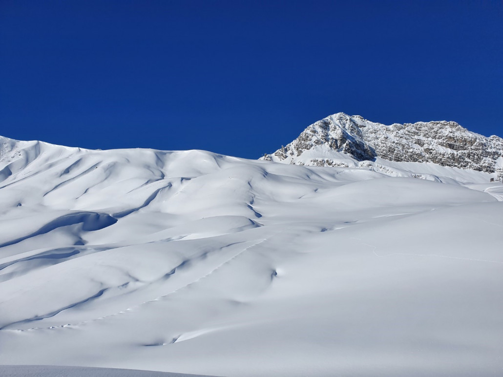 Opening_21_by_Markus_Hahn (48).jpg