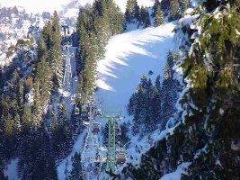 Brauneck 09 Brauneck Bergbahn Zoom oberes Stück.jpg