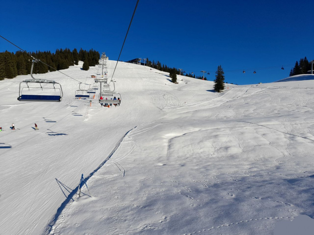 So leer war  es an den Sonnenhängen selten (Filzboden/Zinsberg)