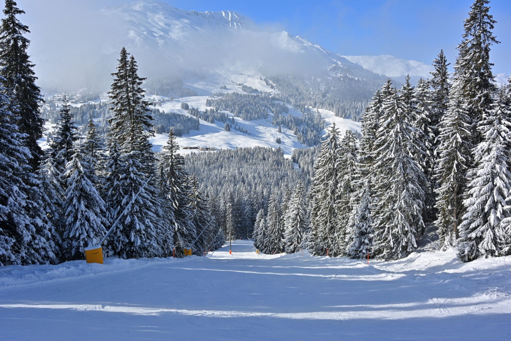 Januar 2021 (028).jpg