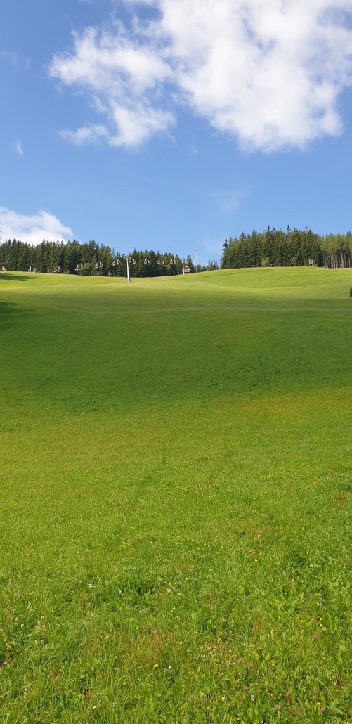 Bergblick 1er Piste links 4er FIS-Strecke rechts.jpg