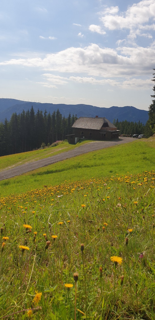 Blick auf die ehemalige Gifthütte mit neuer Straße über die 1er Piste.jpg