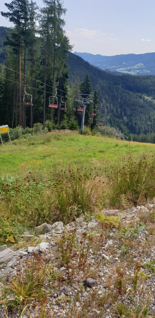 Blick auf ein Stück der 1er Piste.jpg