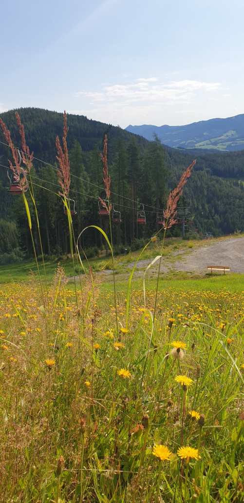 Natur mit der Sesselbahn.jpg