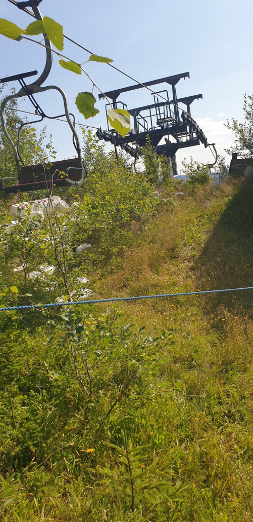 Verwachsene Bergstation.jpg