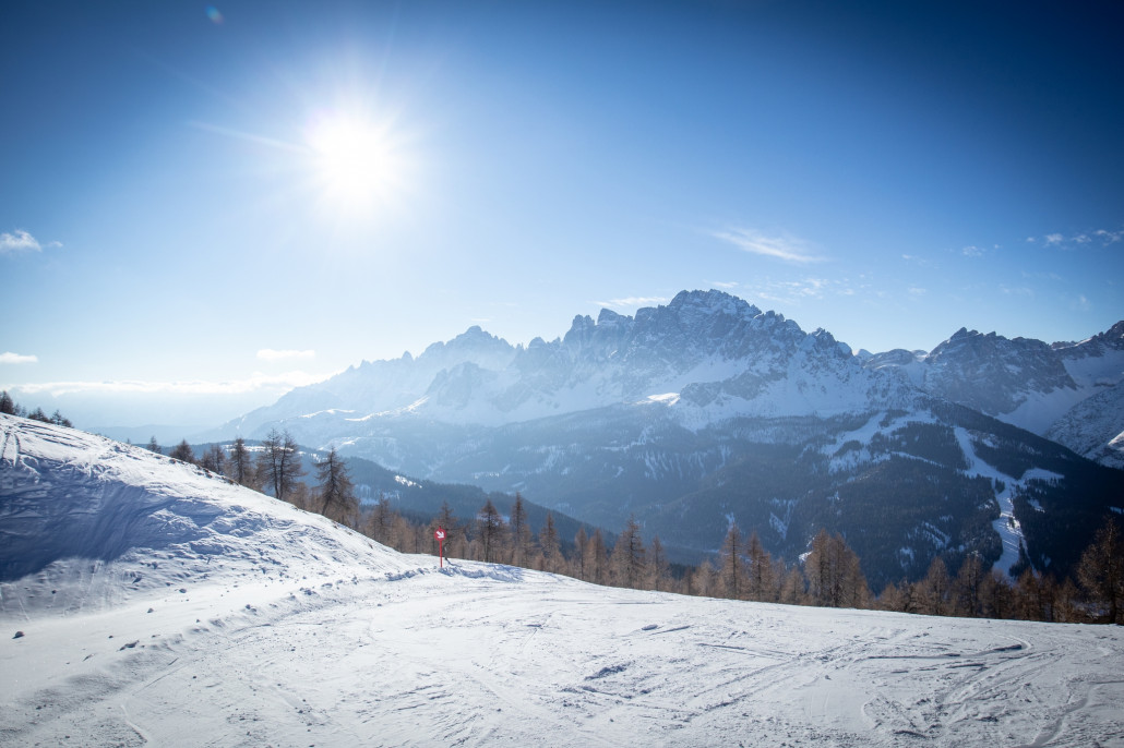 Heute zieht es uns schon früher zum Stiergarten und somit Richtung Rotwandwiese.