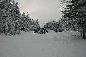 Winter pur auf Cojzarica!