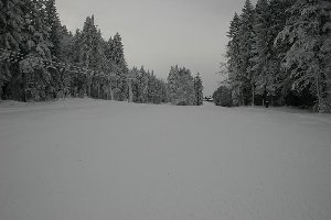 Ruska im oberen Teil ...