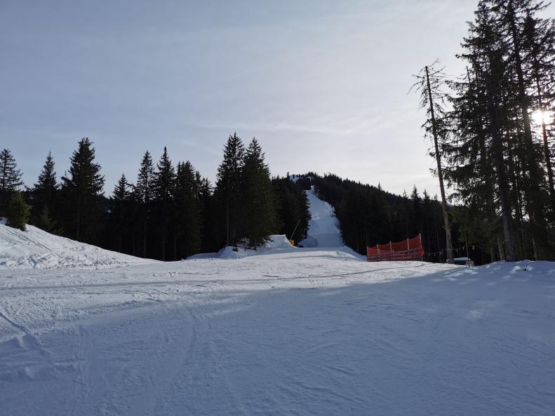 23. Bereits auf der Tannwaldabfahrt. Ich muss sagen, wenn die leer ist, ist sie ein Genuss. Sie war zwar auch eisig, aber wenn man nicht zu viel bremsen muss ist das weniger ein Problem..jpg