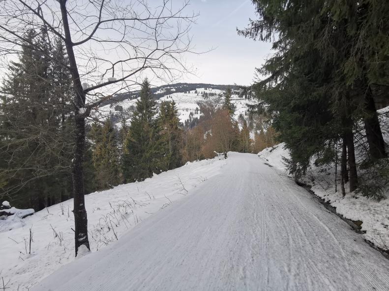 26. Im Prinzip fährt man an der Mittelstation des ZellamSeeXpress die Forststraße entlang. Diese war sogar gewalzt. Nur an den kurven kamen ein paar Steine heraus, aber auch gut umfahrbar..jpg