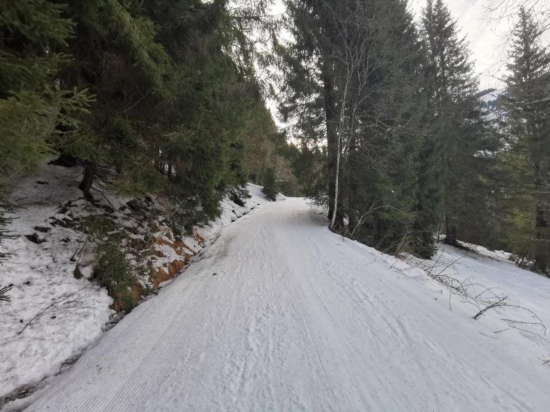 27. Ich muss sagen, ein schöner idyllischer Weg. Bei den heutigen offpiste Verhältnissen deutlich angenehmer als die Skiroute..jpg