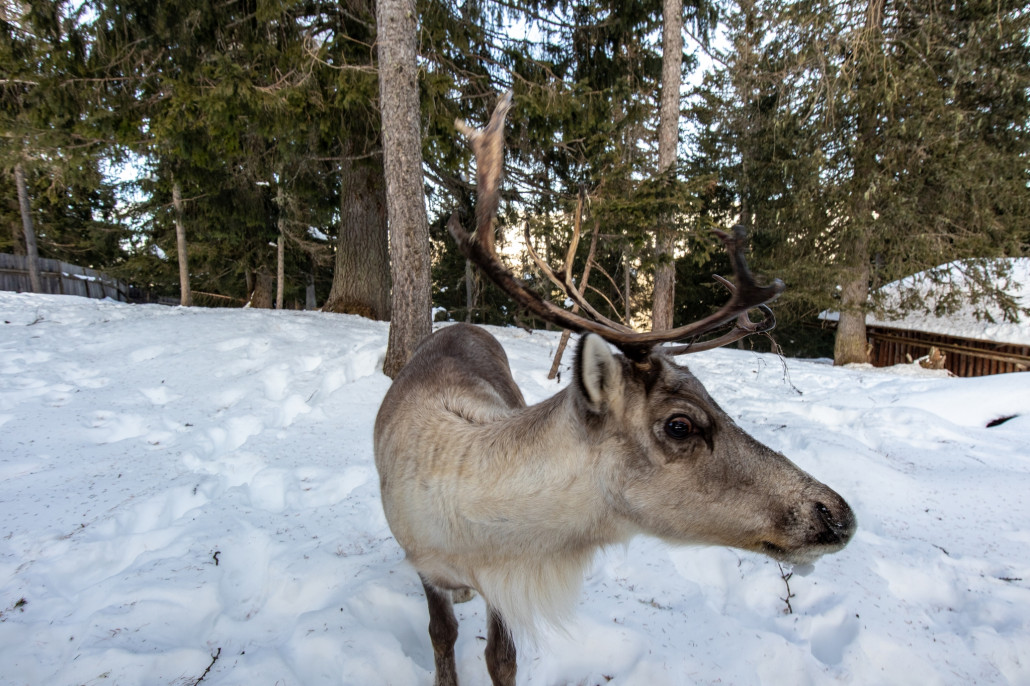 Sexten 289-1_ergebnis.jpg