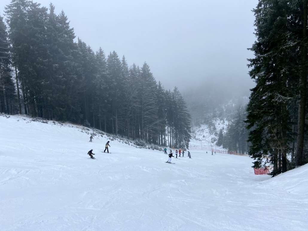 Moser talwärts (Schnee gut, aber es kommen glatte Stellen durch)
