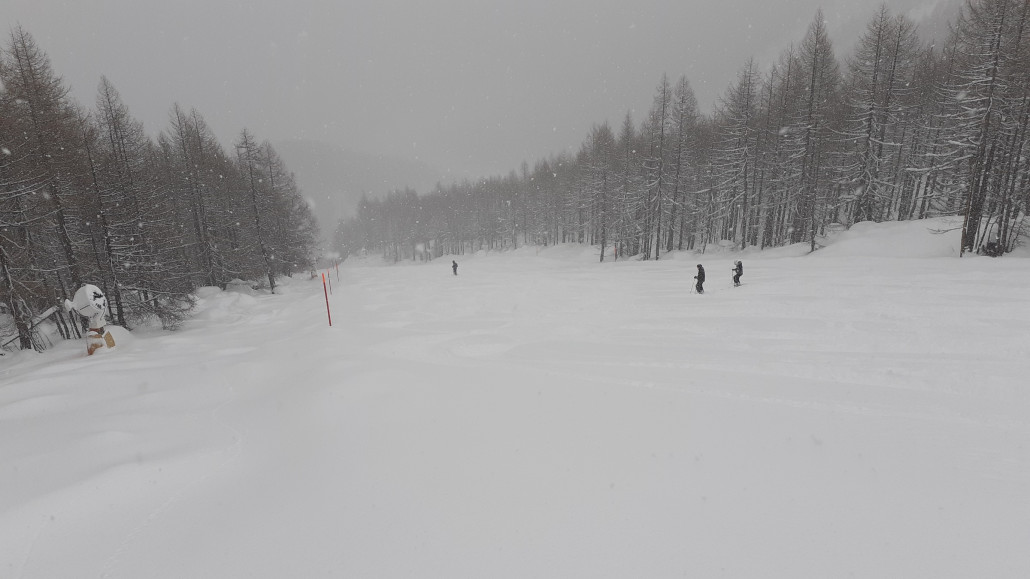 Sperwerzucht im Tiefschnee