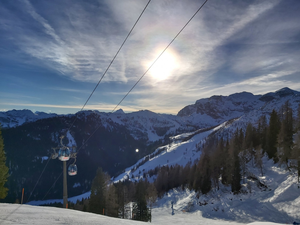 Hier gab es auch eine Wiederholung. Die Schwarze sah zwar auch Knollig, dennoch zu interessant aus.