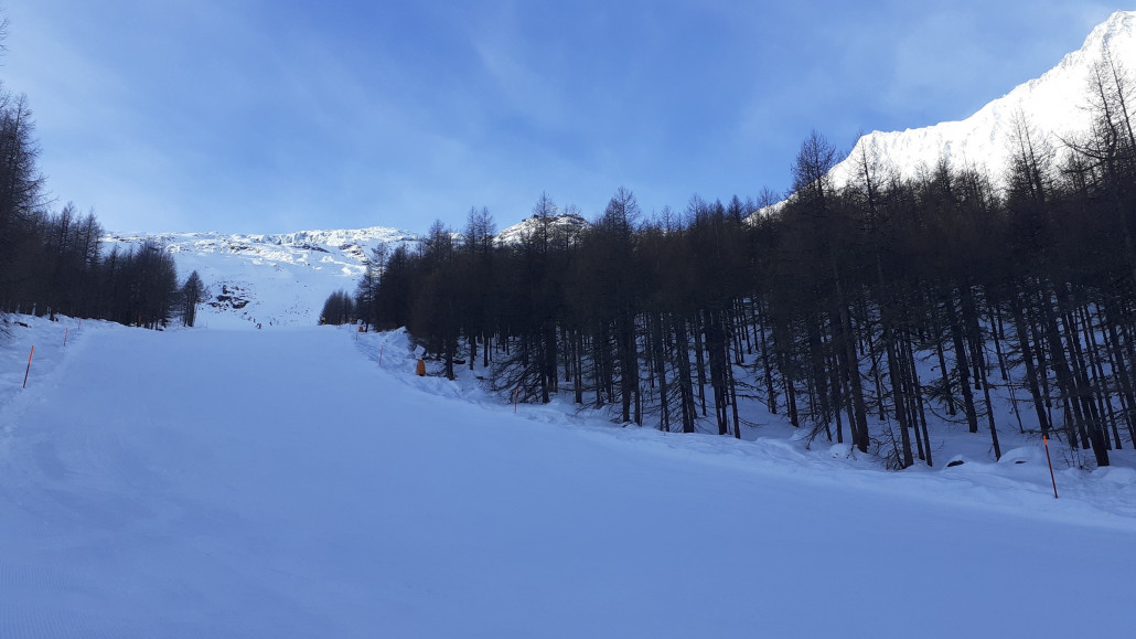Morgens auf der 6b Sperwerzucht