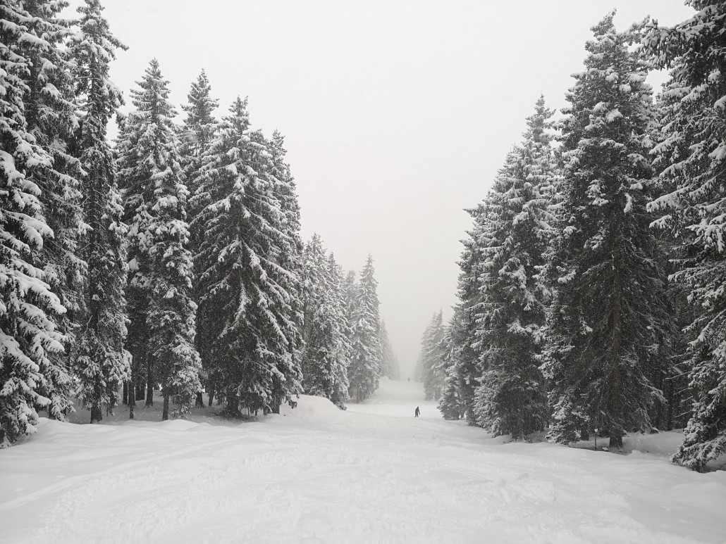 Interessante alte Pistenschneise in Eben, wird sogar beschneit<br />.