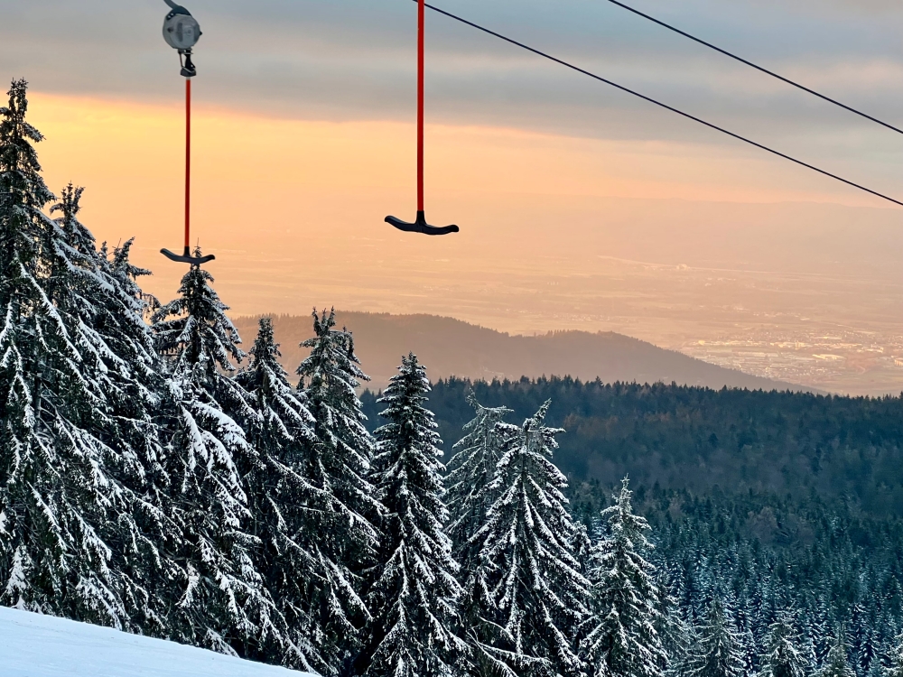 batch_IMG_0706 2.JPG