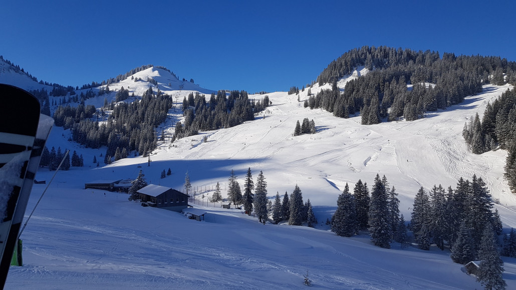 Hänge am Wildgunten nun wieder weiß