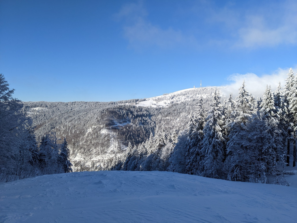 Ahornbühl am Dienstag