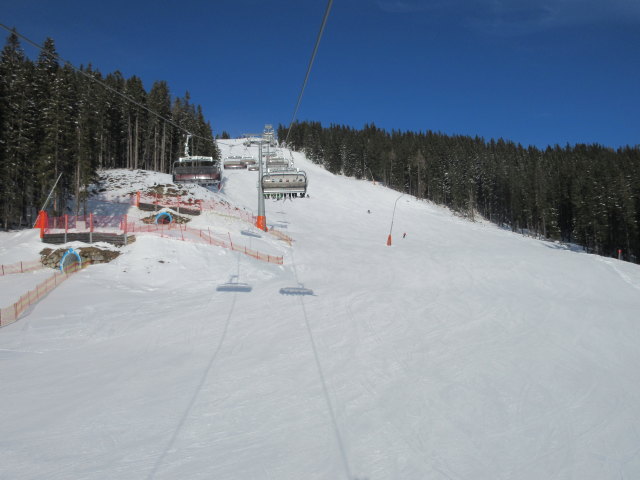 6-CLD-B Hochmais, darunter die neue Hochmaispiste