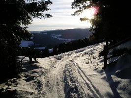 Verbindungsweg zum freien Gelände westlich der Sonnenhangabfahrt