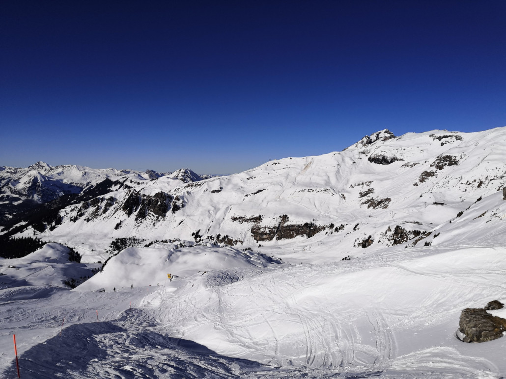 Der zuvor angesprochene Hang, der auch von weitem ziemlich braun ist.