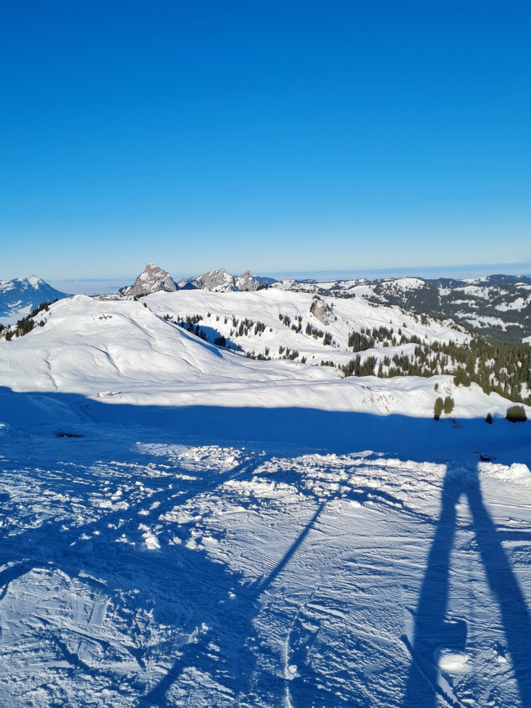 Blick auf den Sektor Spirstock und Laucherenstöckli