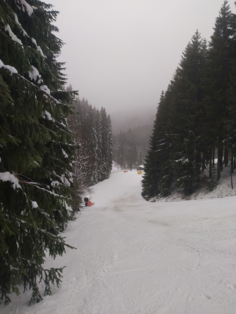 Westfalenhang 2 linke Piste