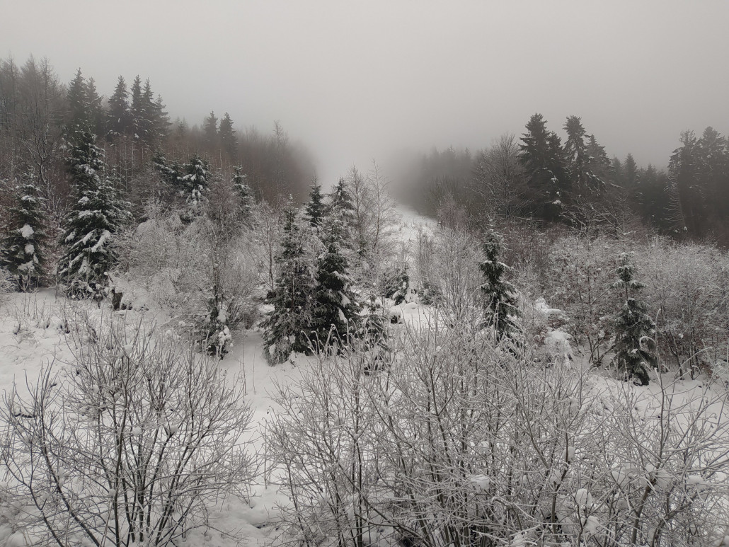 Blick auf den FIS-Hang vom Parkplatz