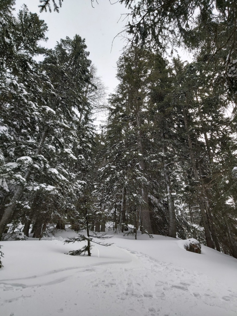 Andere Seite mit gewaltigen Flair.