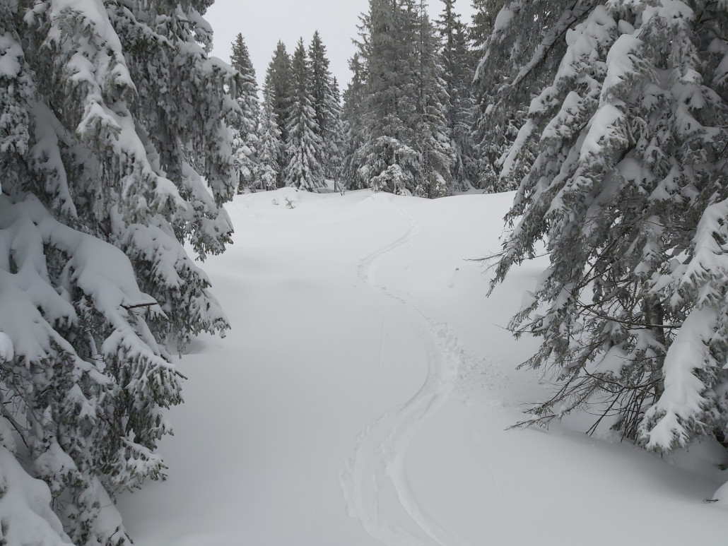 Schon etwas weiter im Geheimversteck. Aber auch schon vieles verspurt.