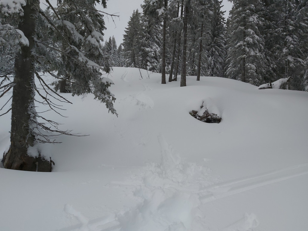 Passiert ;D Landung nicht gscheid gesehen und ab nach vor.