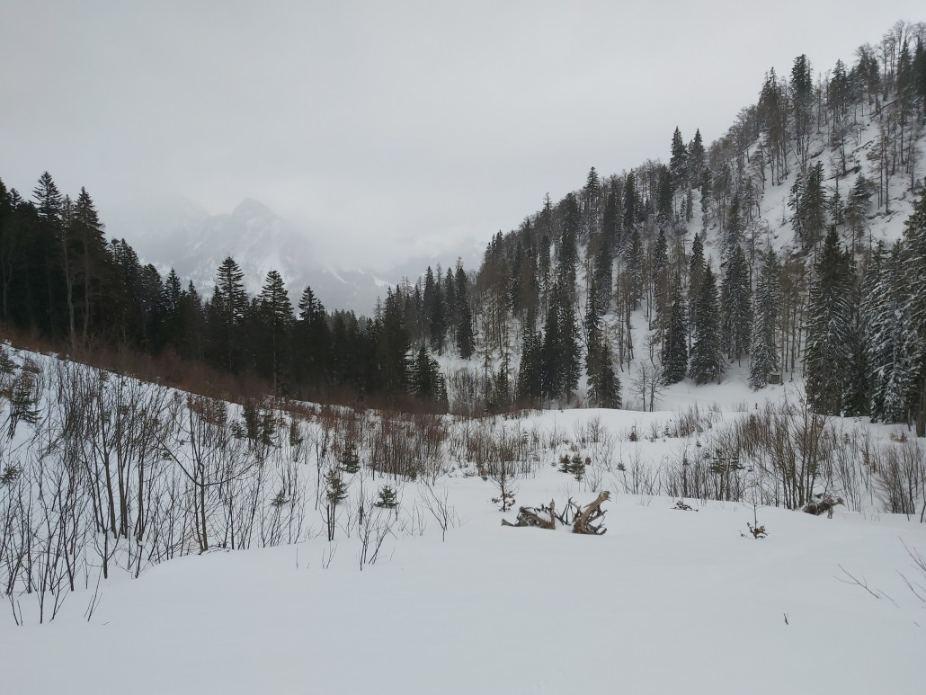 Zeit für etwas neues. Beim Steilhang nach Tauplitz runter halte ich mich links.