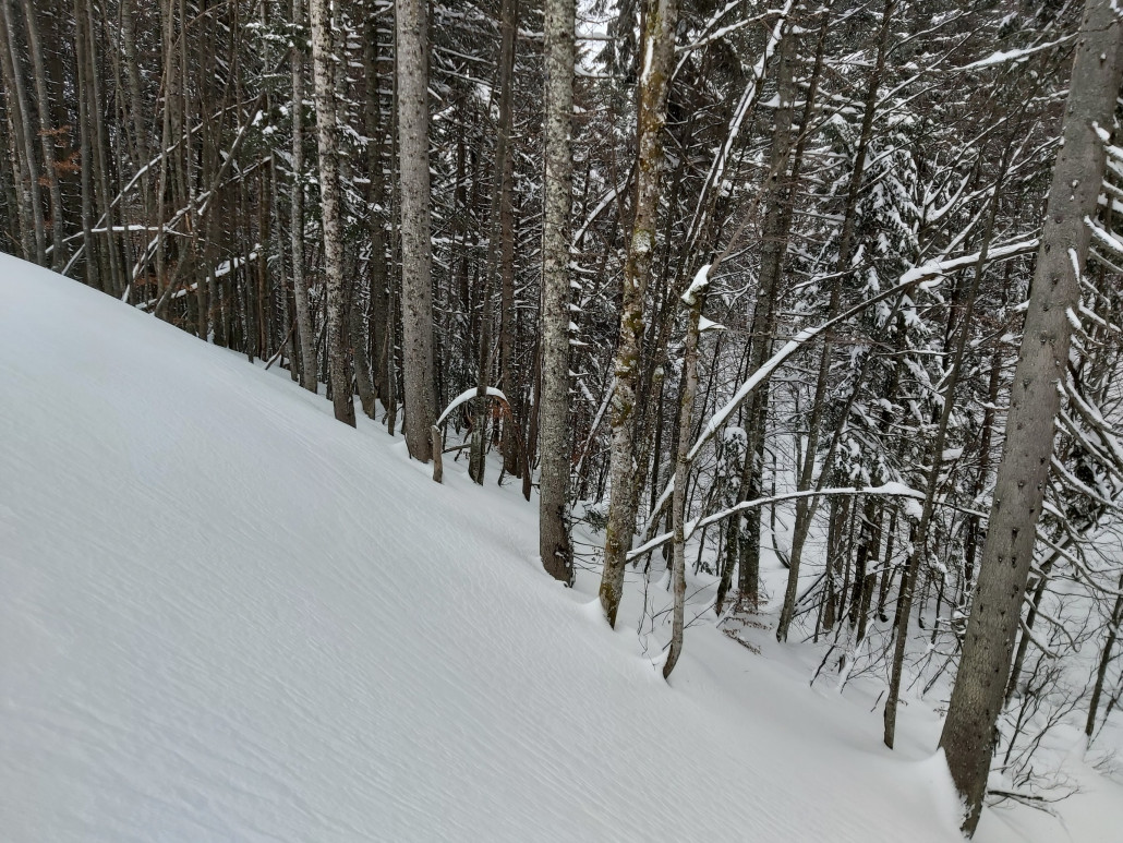 So was ist mir viel lieber als verspurte Traumhänge.