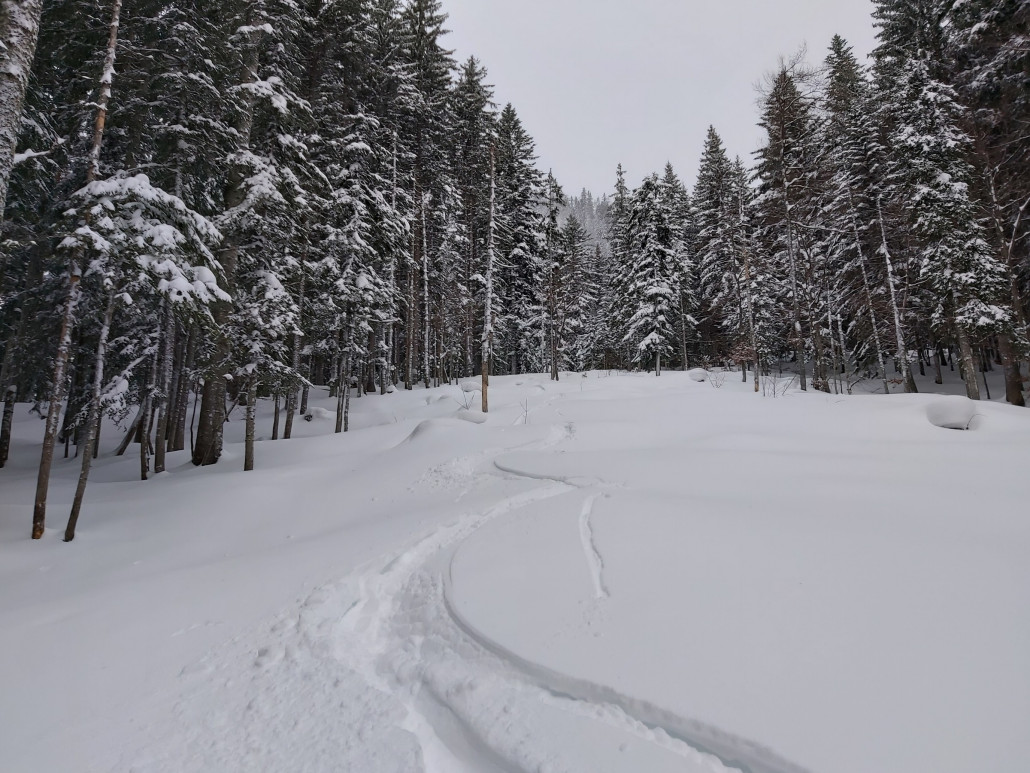 Irgendwie rechts oberhalb der Pfannerhütte.
