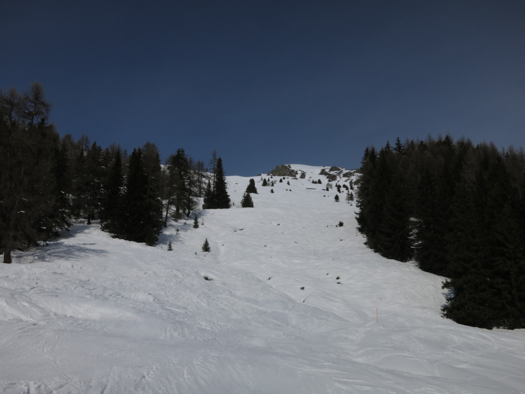 Waldschneiße ein Stück vor Beginn des Skiwegs