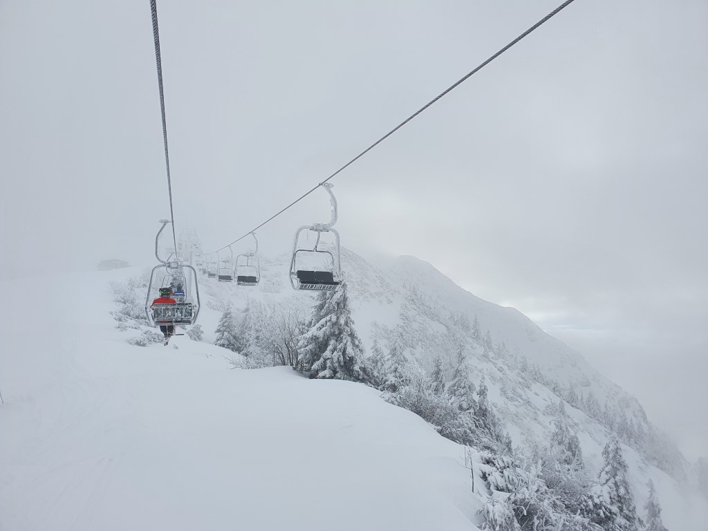 Koessen_2021 (2).jpg