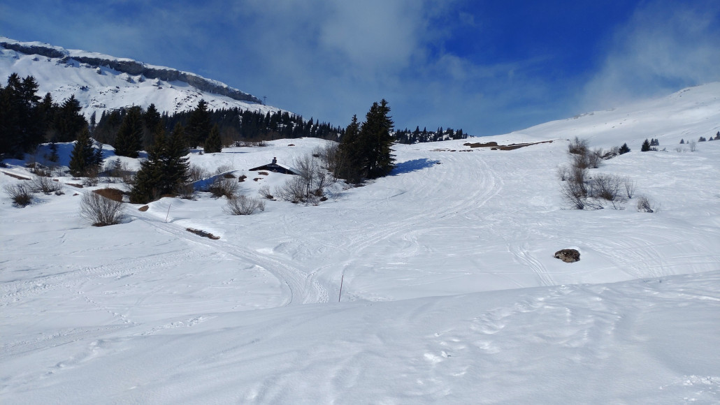 Blick zur 8. Diese wurde im oberen Bereich wenigstens irgendwann schon einmal Grundpräpariert