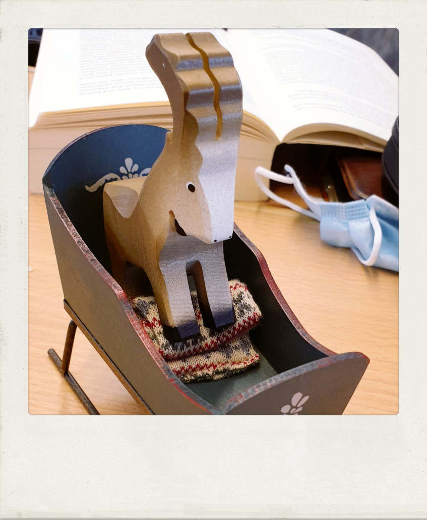 Ein Steinböckli als Andenken in einem Bergüner Schlitten fährt mit...