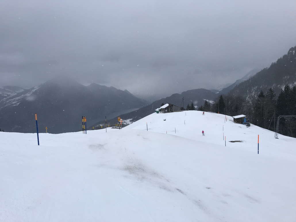 2022-01-31 11.17.37.jpg