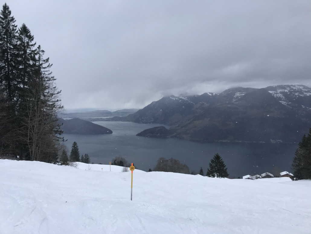 2022-01-31 11.18.47.jpg