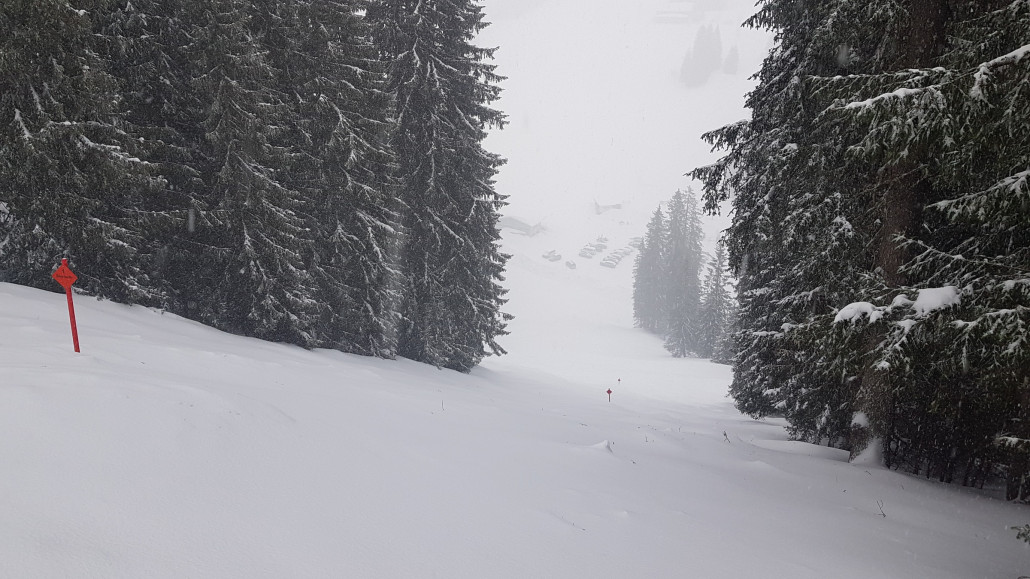 Feinster, unverspurter Graupelpowder :(