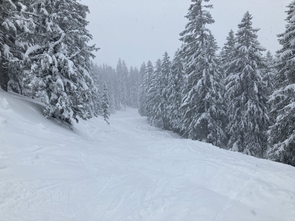 Noch geschlossene Piste 30, schön zu fahren!