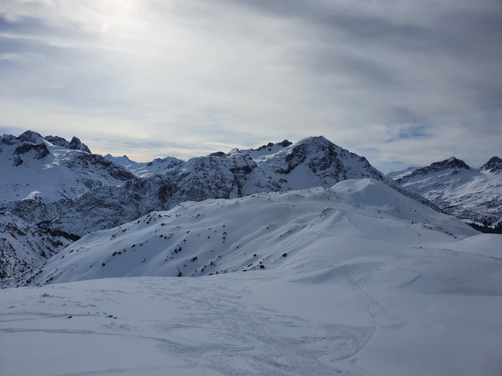 Abendweide_Feber_21_LZTG_by_Markus_Hahn (3).jpg