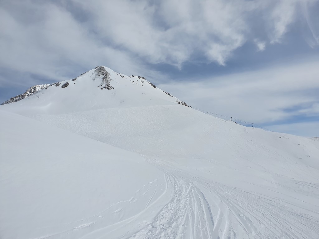 Abendweide_Feber_21_LZTG_by_Markus_Hahn (4).jpg