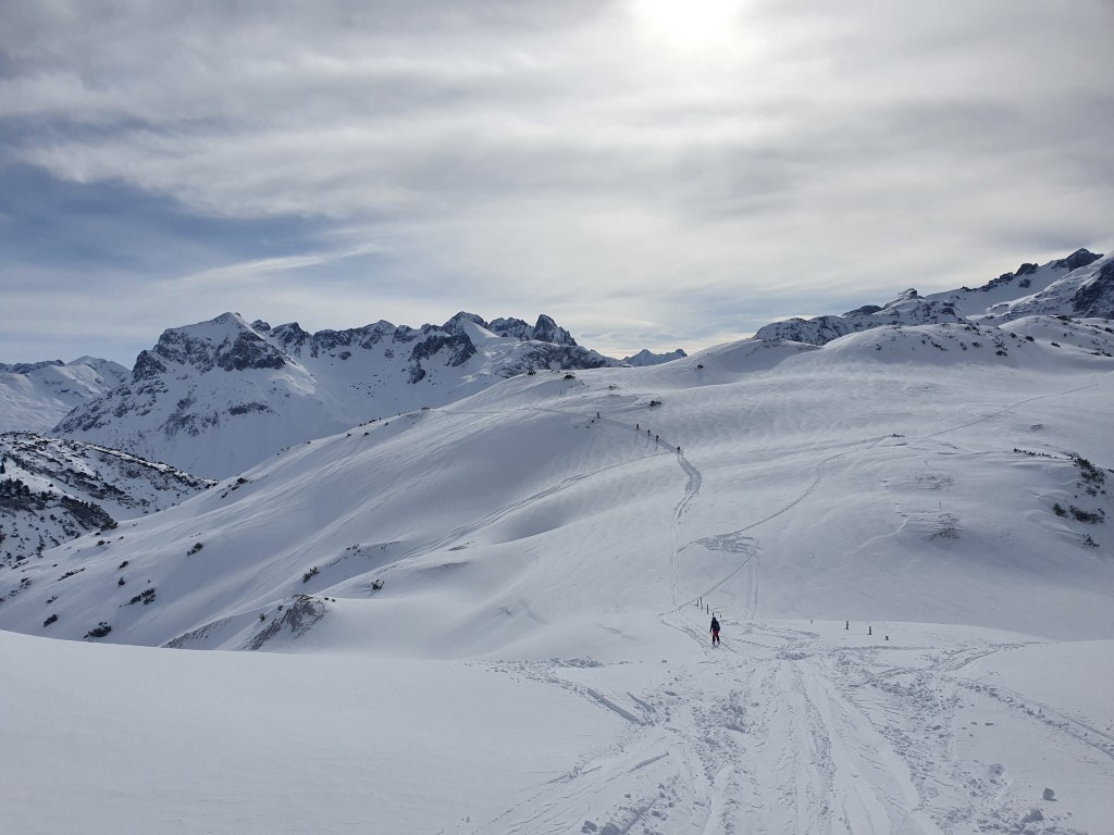 Abendweide_Feber_21_LZTG_by_Markus_Hahn (6).jpg