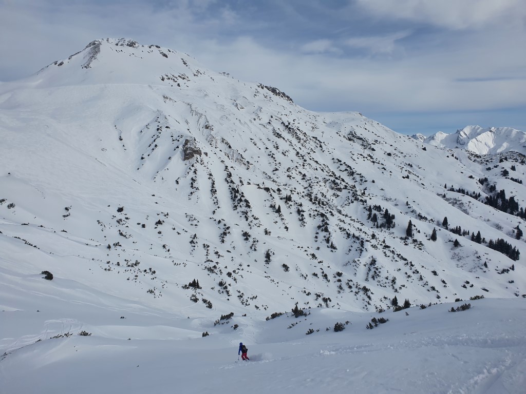 Abendweide_Feber_21_LZTG_by_Markus_Hahn (7).jpg