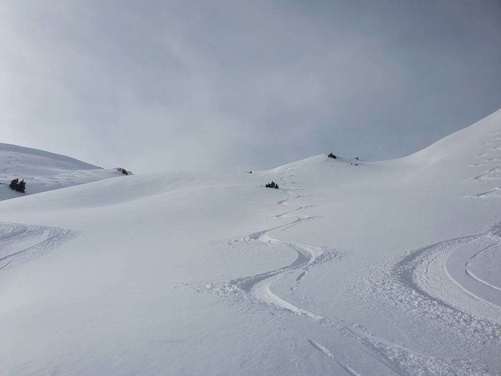 Abendweide_Feber_21_LZTG_by_Markus_Hahn (8).jpg