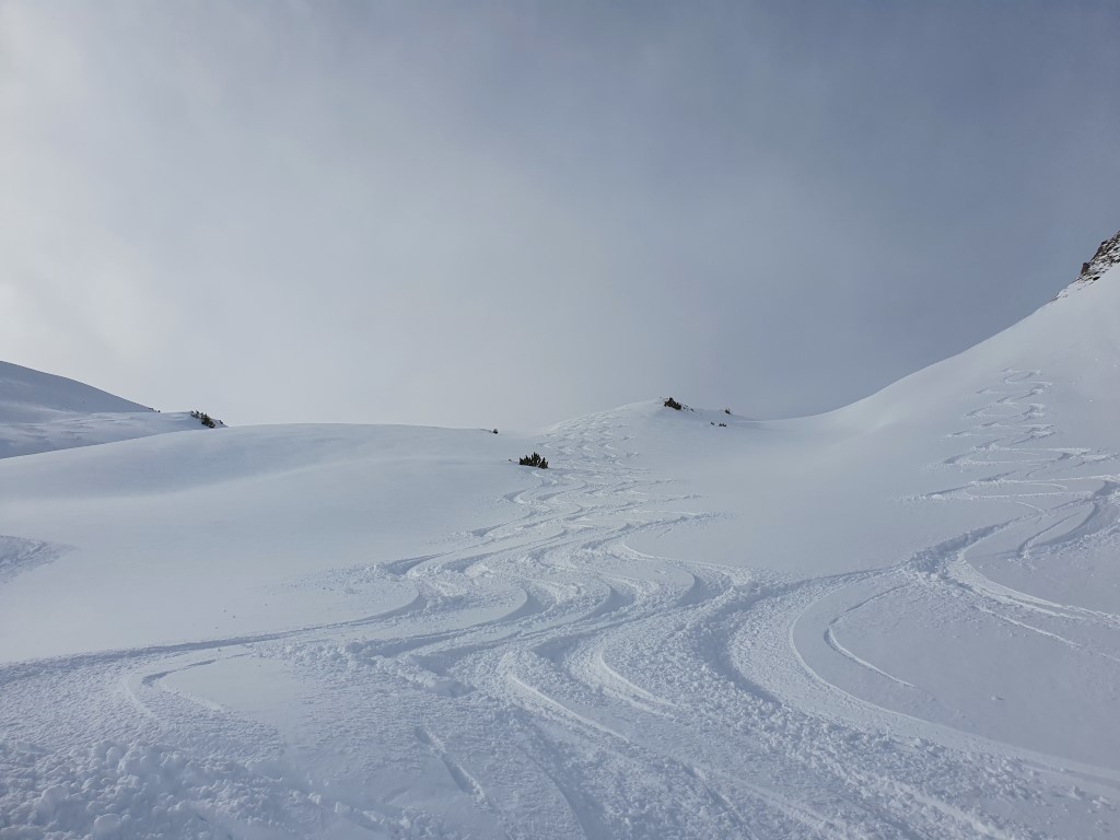 Abendweide_Feber_21_LZTG_by_Markus_Hahn (9).jpg